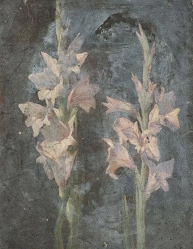 Campanule